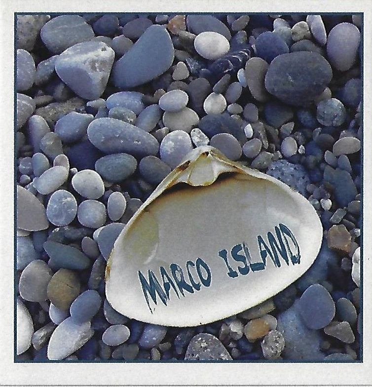 Marco Island Coasters