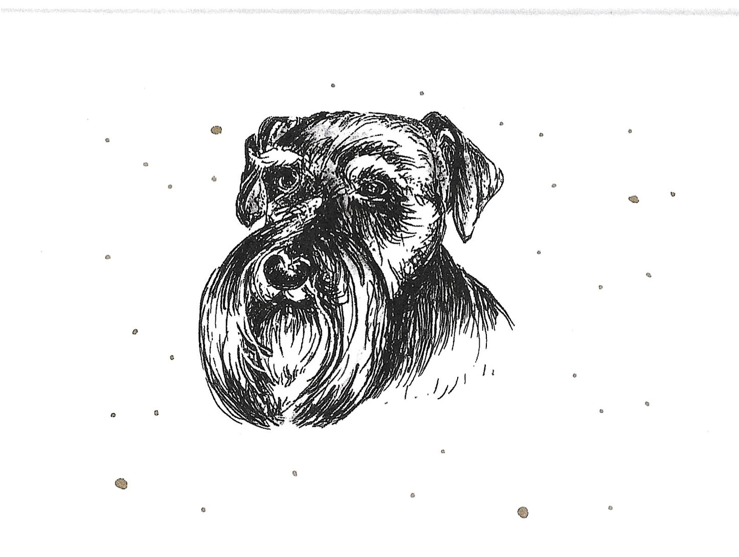 Betty Kimble Cards - Dogs and Cats