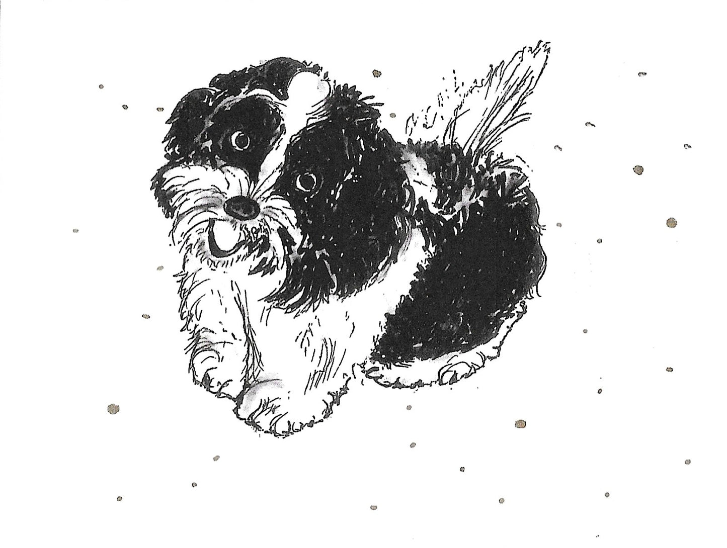 Betty Kimble Cards - Dogs and Cats