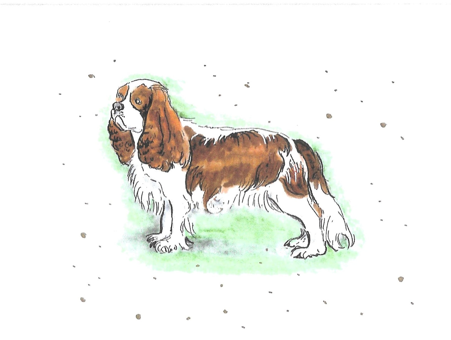 Betty Kimble Cards - Dogs and Cats