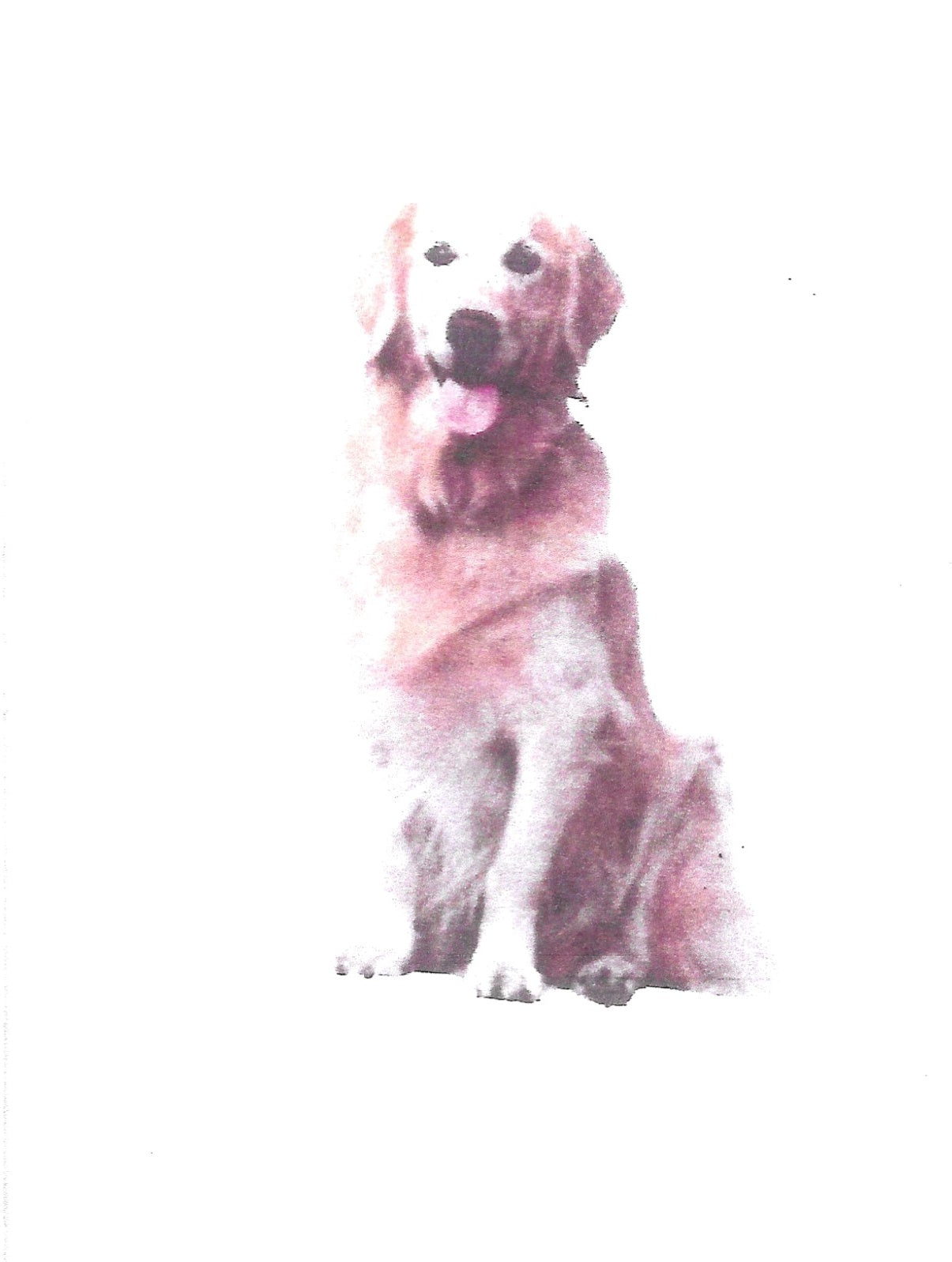 Betty Kimble Cards - Dogs and Cats