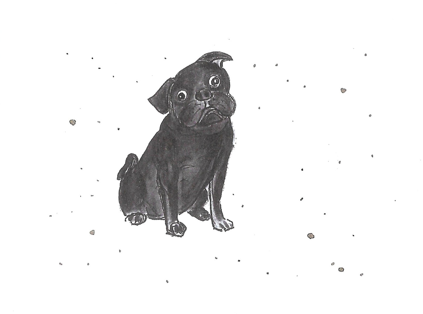 Betty Kimble Cards - Dogs and Cats