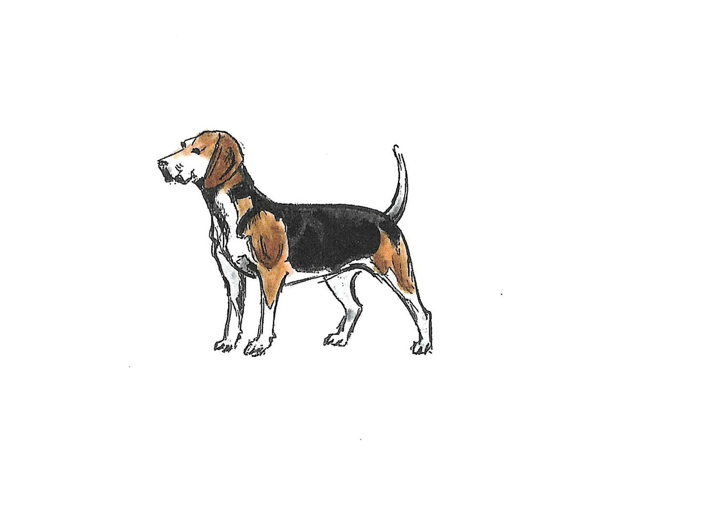 Betty Kimble Cards - Dogs and Cats