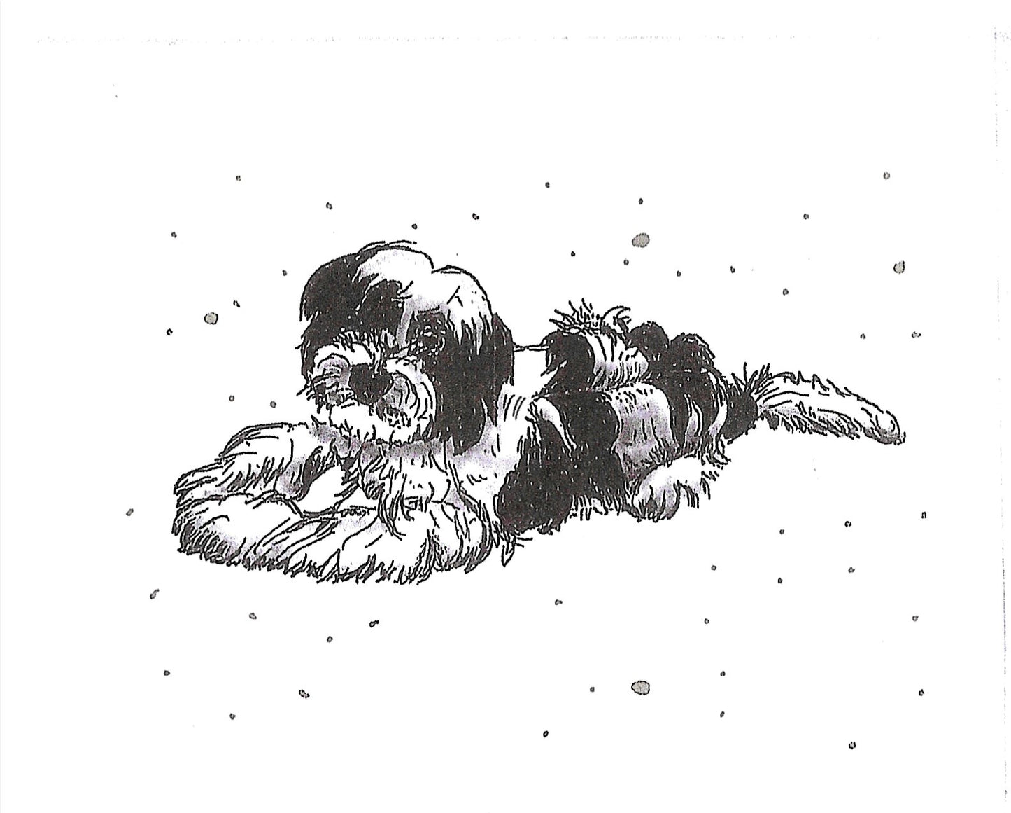 Betty Kimble Cards - Dogs and Cats