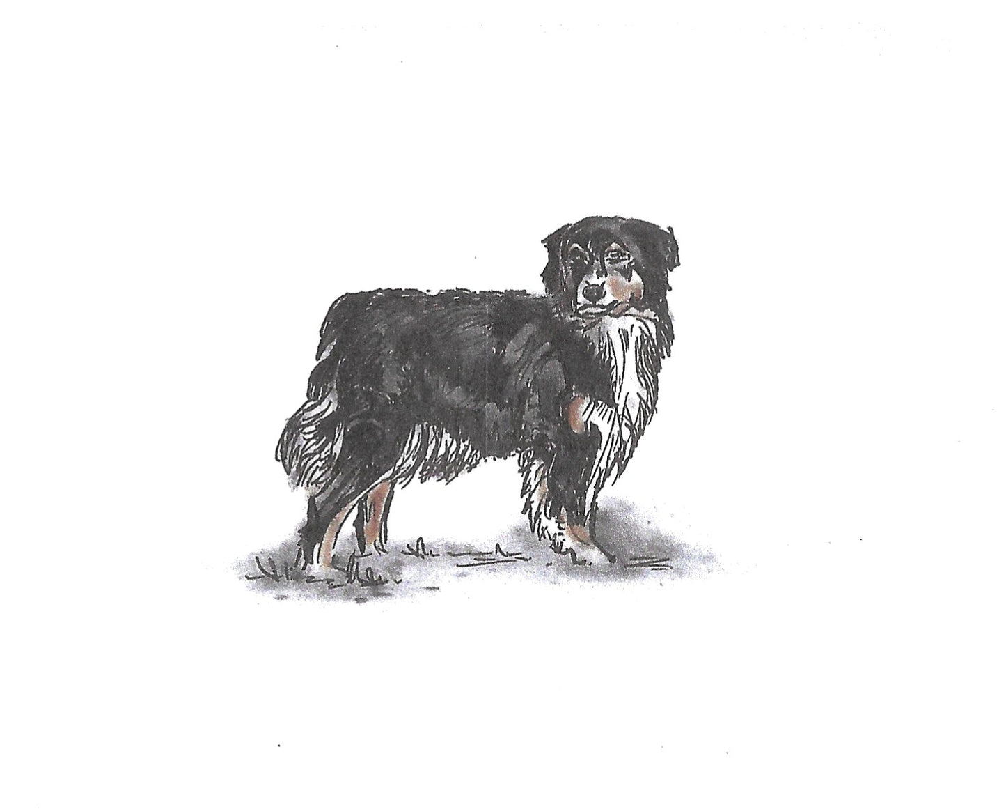 Betty Kimble Cards - Dogs and Cats