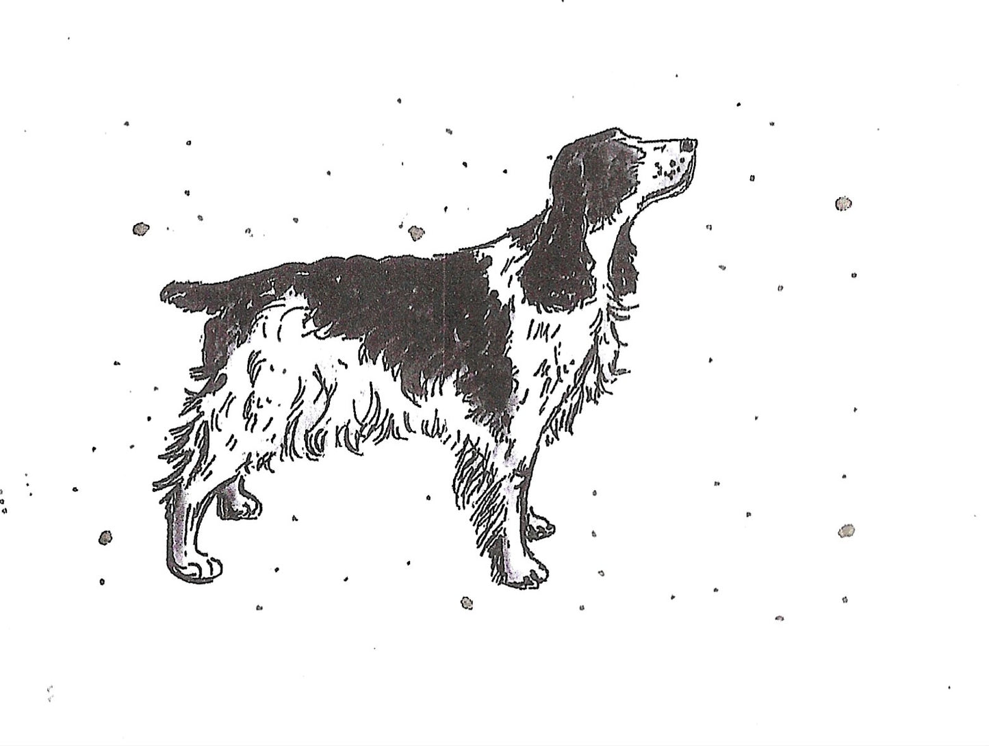 Betty Kimble Cards - Dogs and Cats