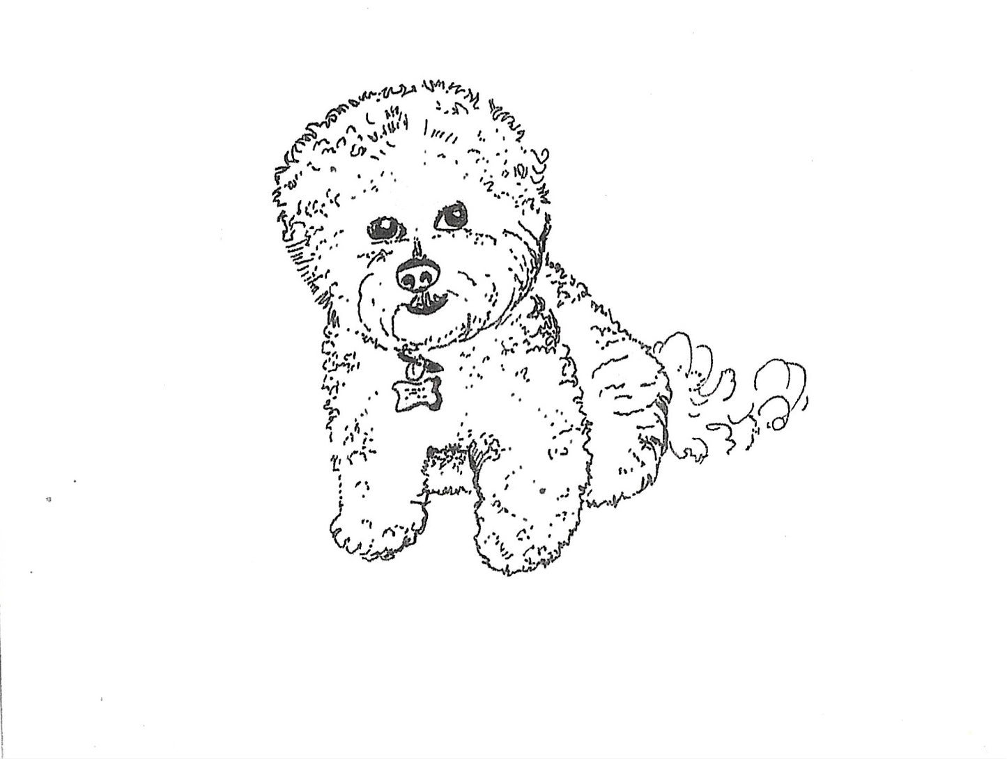 Betty Kimble Cards - Dogs and Cats