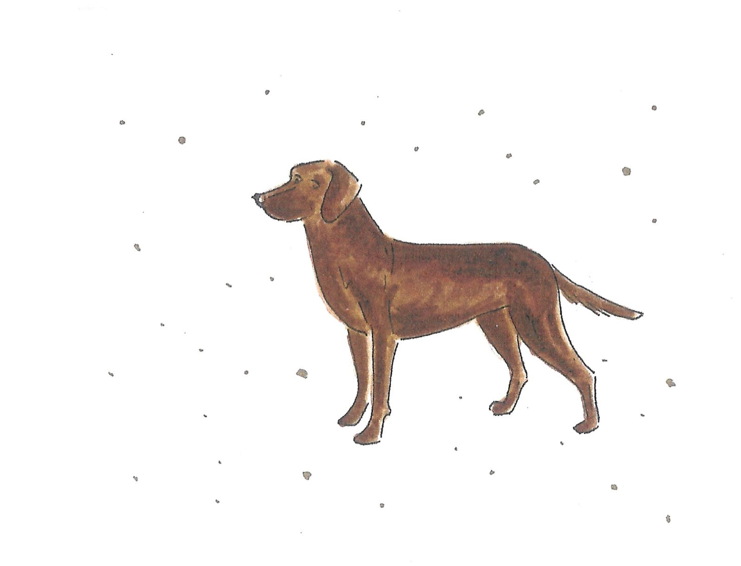 Betty Kimble Cards - Dogs and Cats