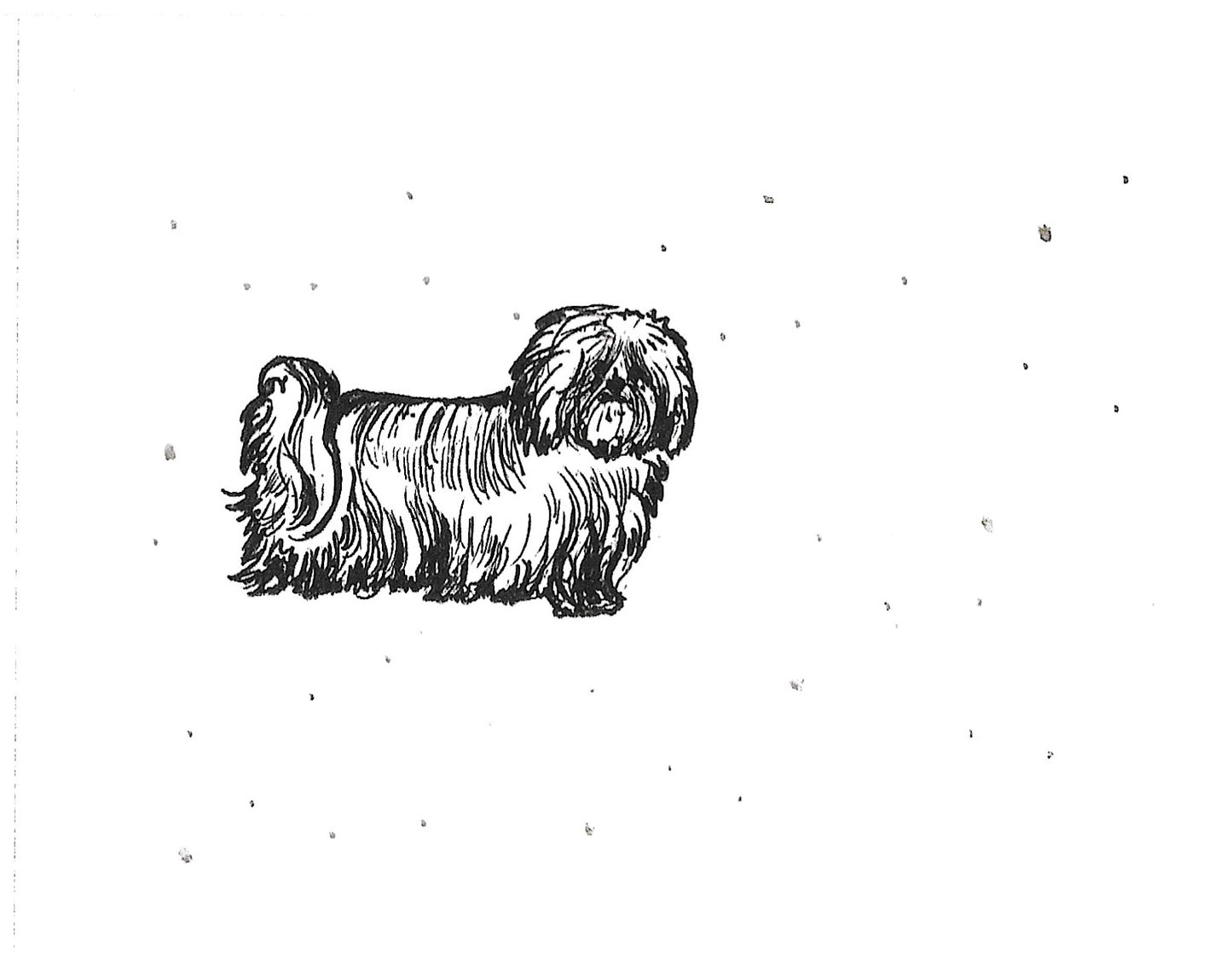 Betty Kimble Cards - Dogs and Cats