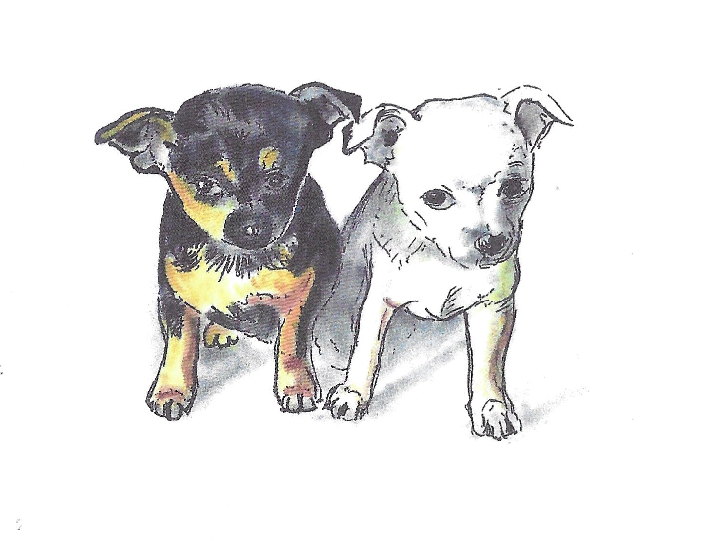 Betty Kimble Cards - Dogs and Cats