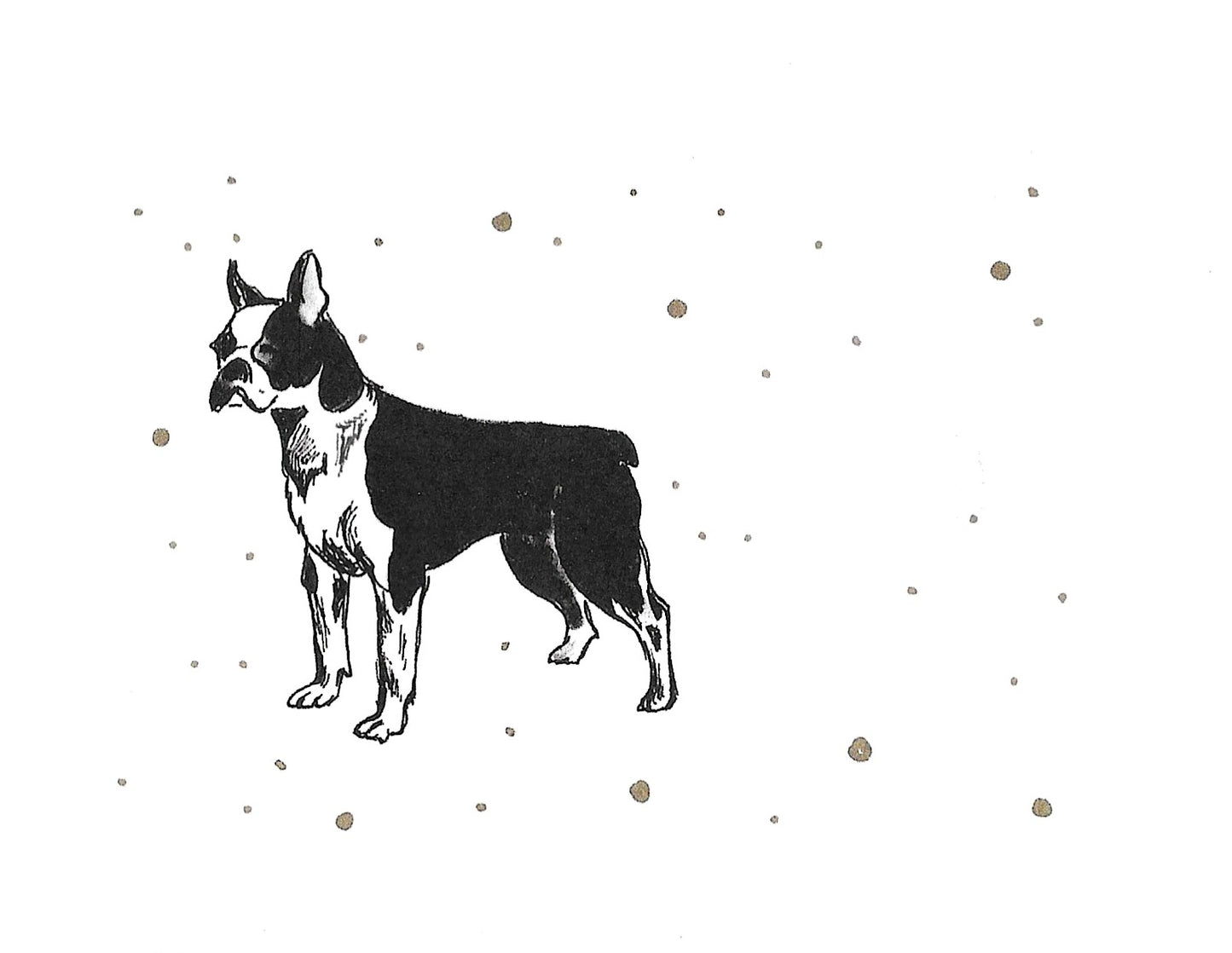 Betty Kimble Cards - Dogs and Cats