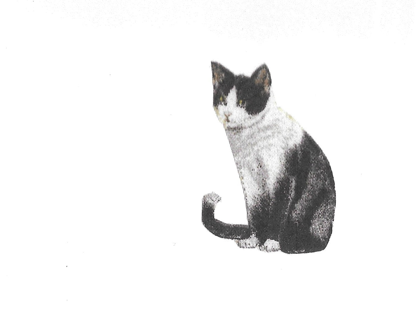 Betty Kimble Cards - Dogs and Cats