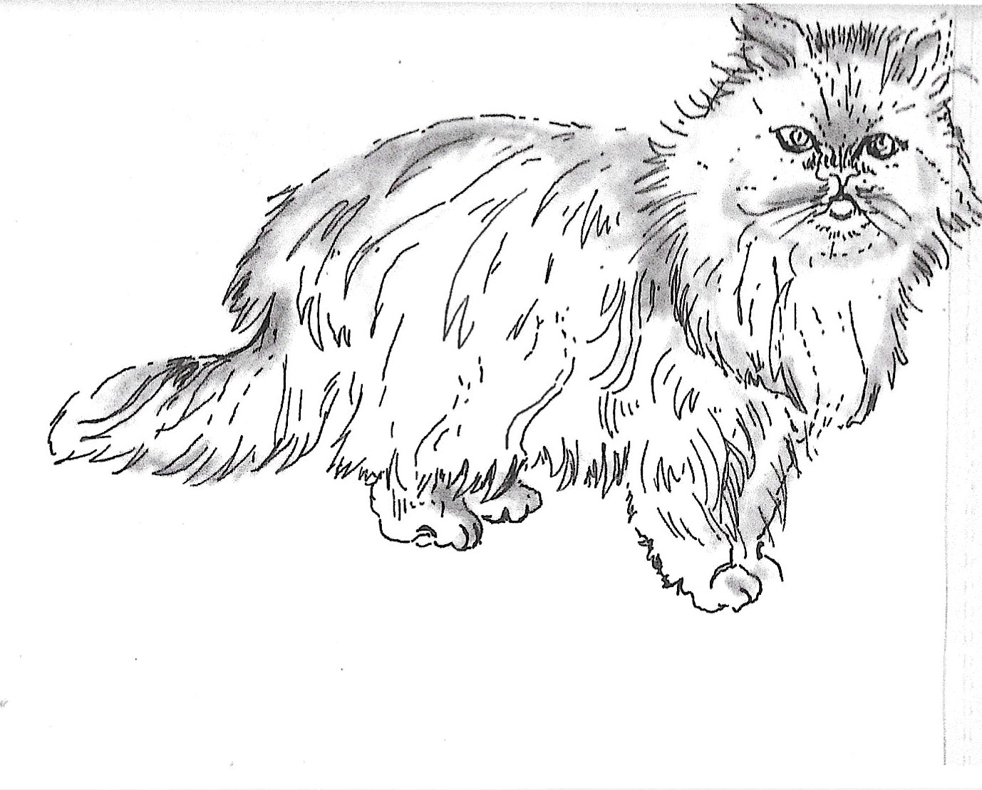 Betty Kimble Cards - Dogs and Cats