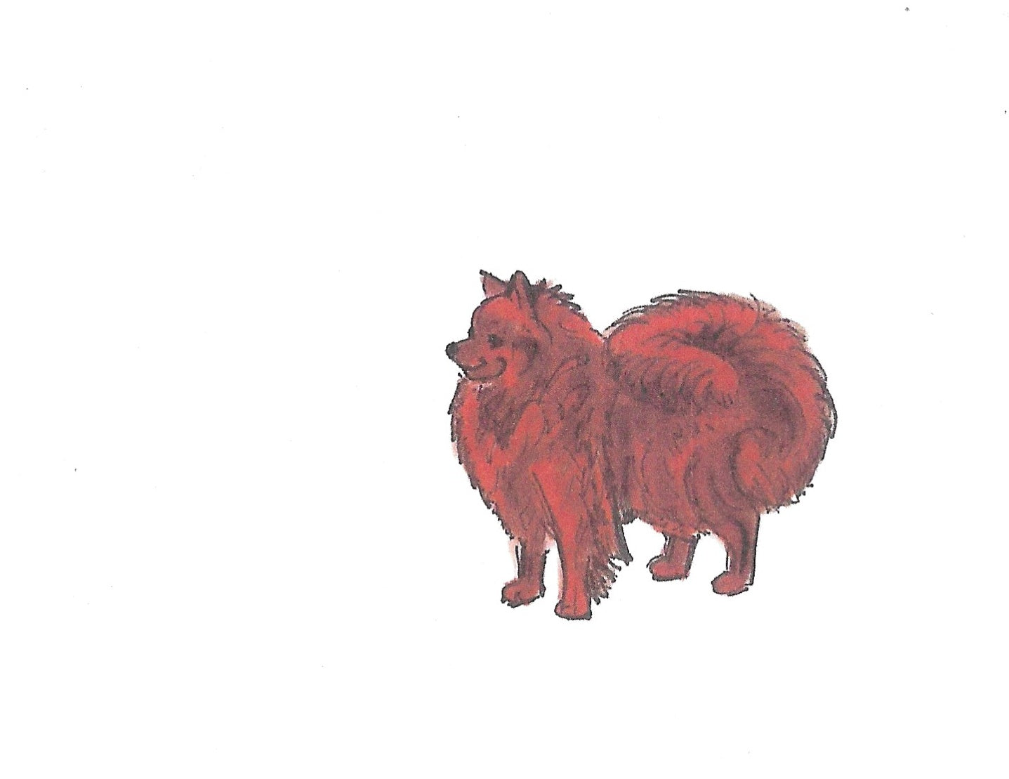 Betty Kimble Cards - Dogs and Cats
