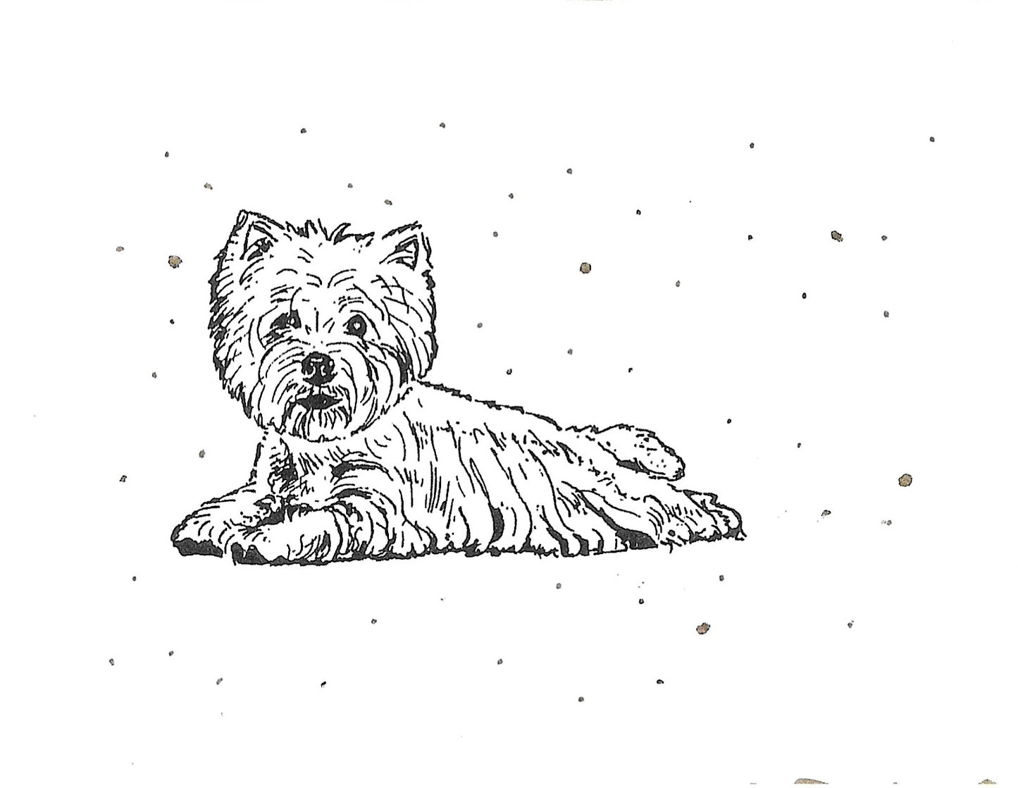 Betty Kimble Cards - Dogs and Cats