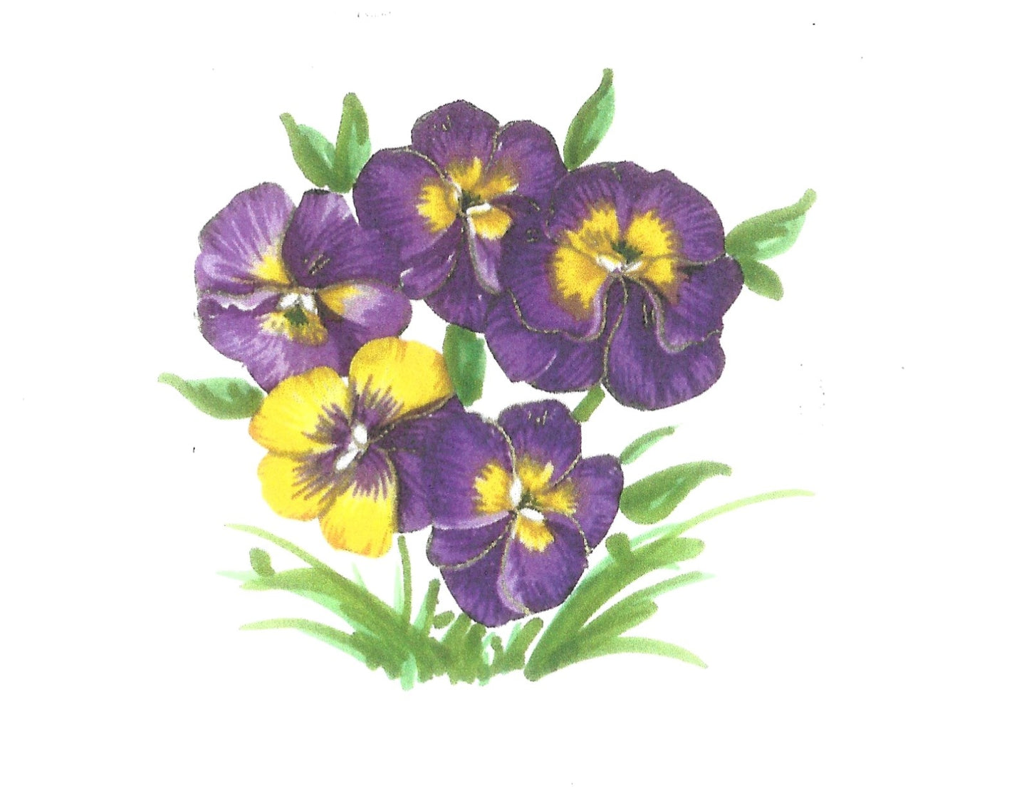 Betty Kimble Cards - Flower Inspired