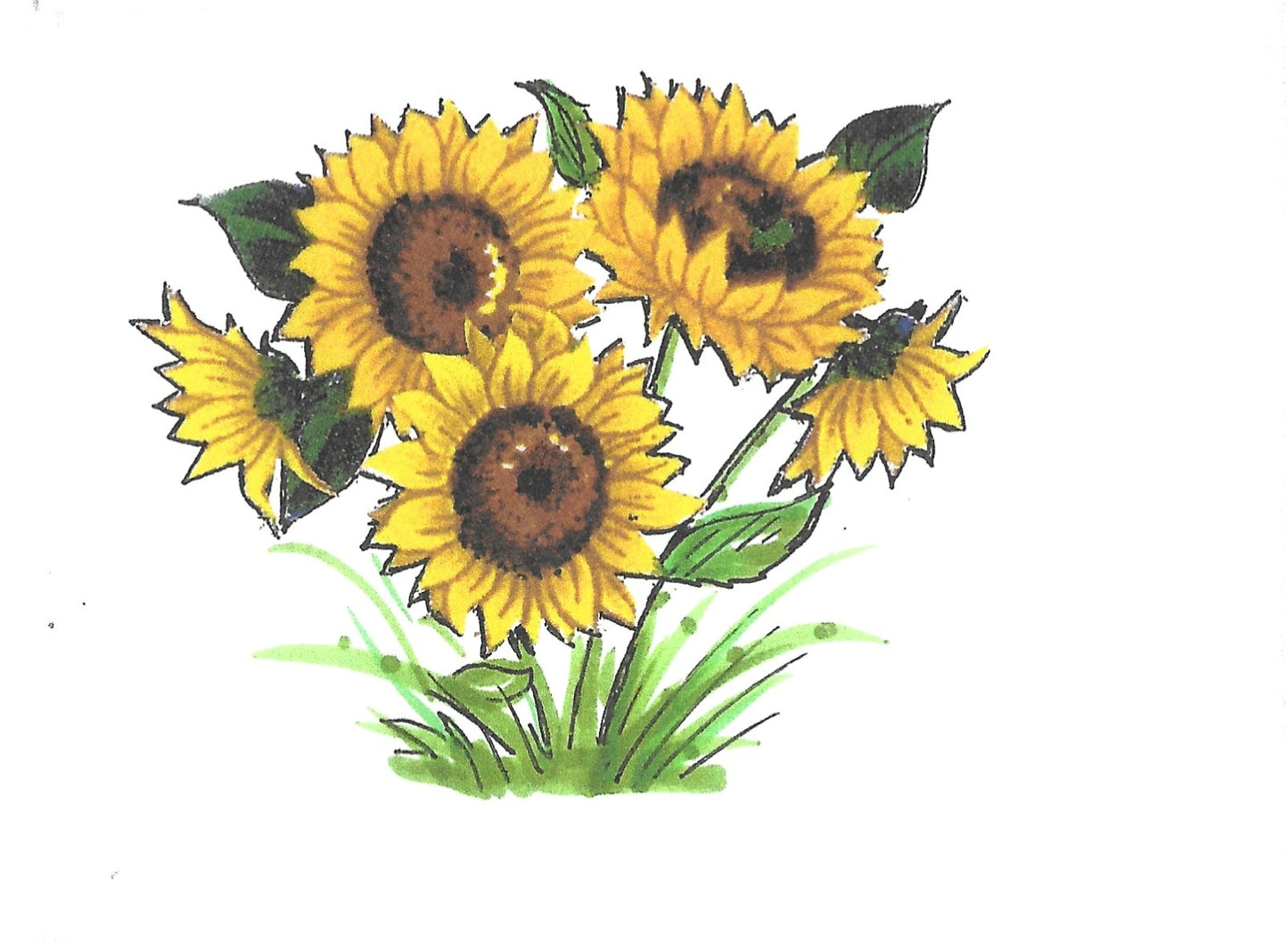 Betty Kimble Cards - Flower Inspired