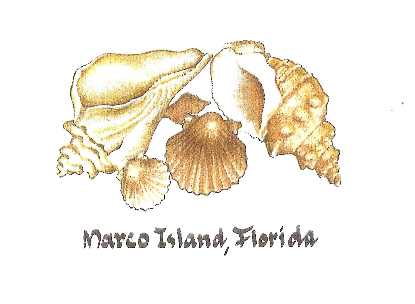 Betty Kimble Cards - Marco Island Inspired