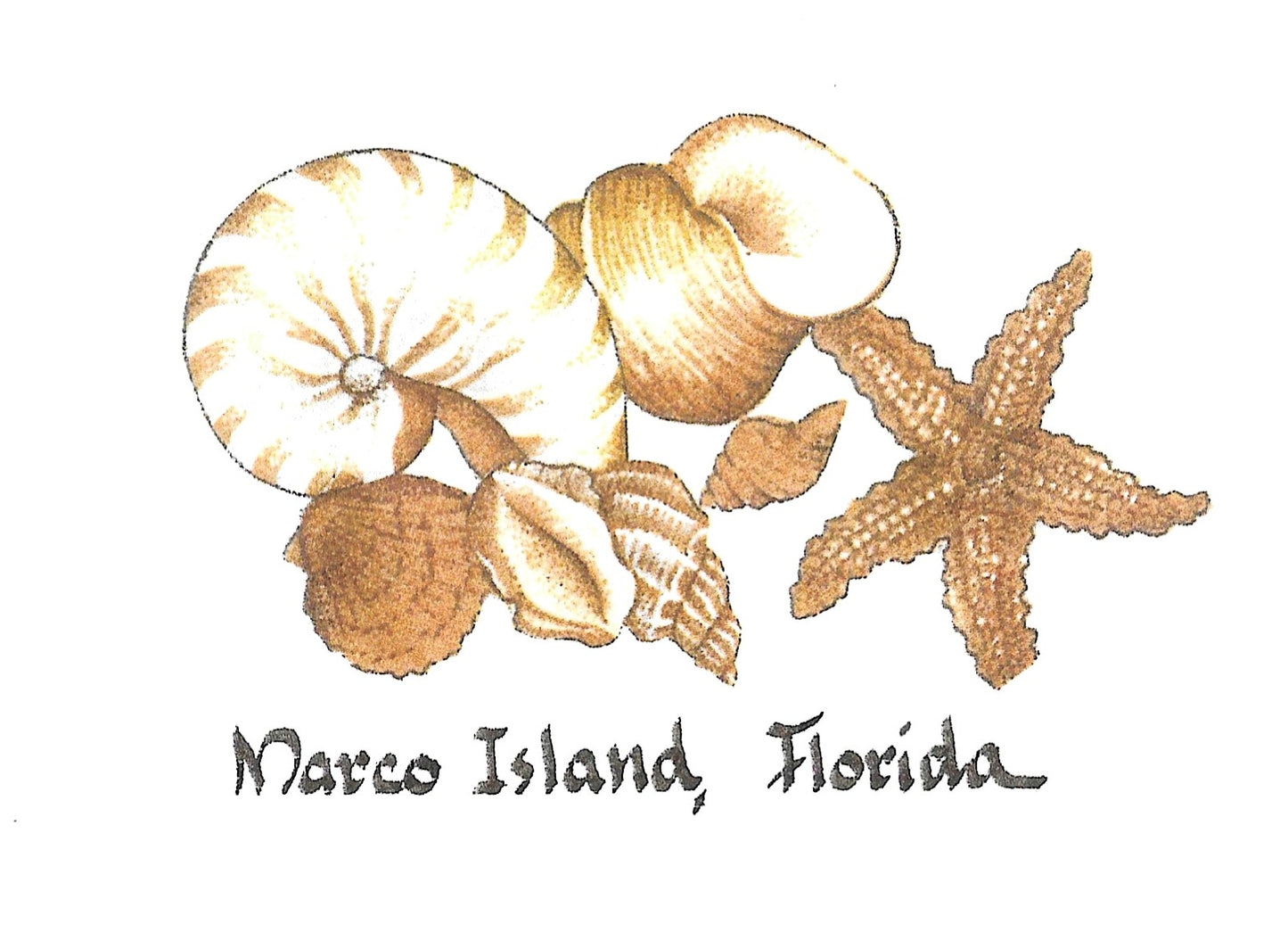 Betty Kimble Cards - Marco Island Inspired