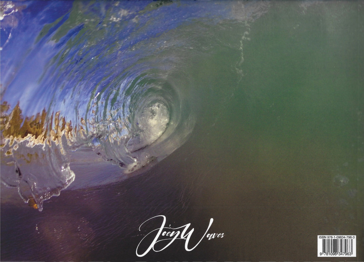 Florida Landscapes - Joey Waves