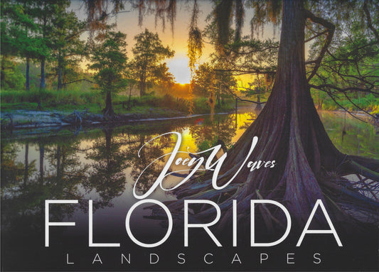 Florida Landscapes - Joey Waves