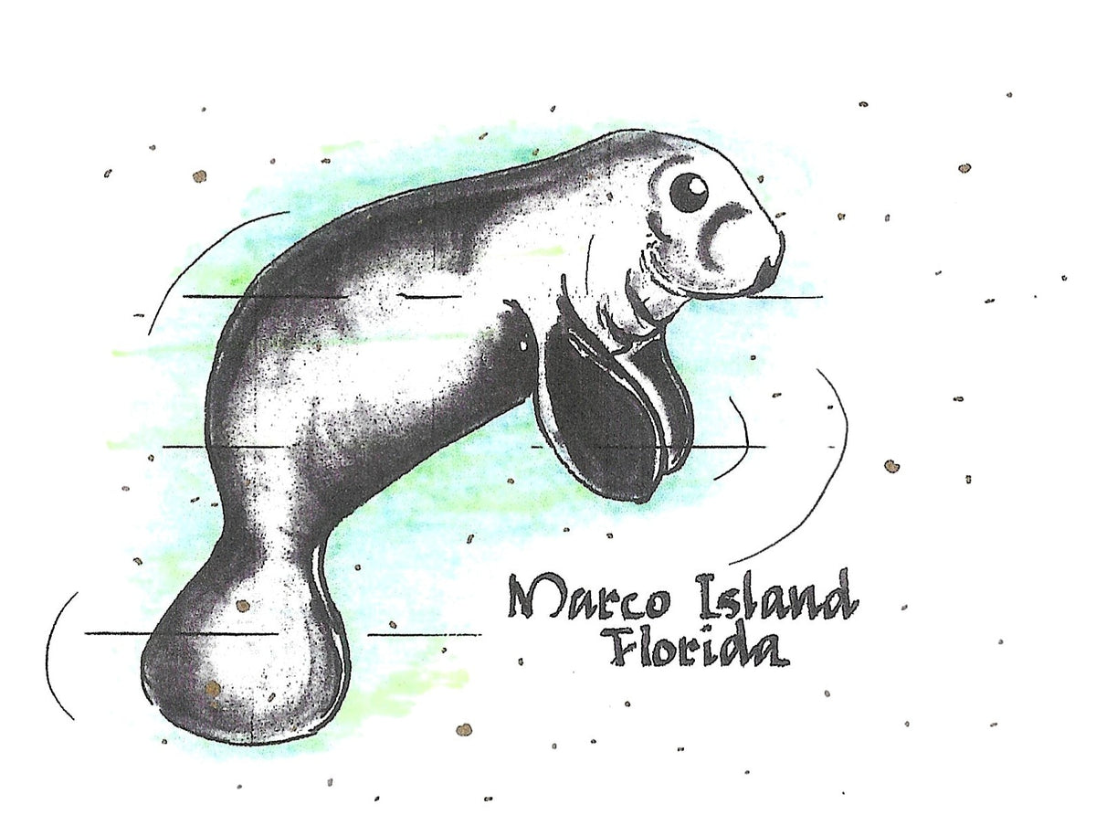 Betty’s Notes Marco Island Collection: Manatee card artwork