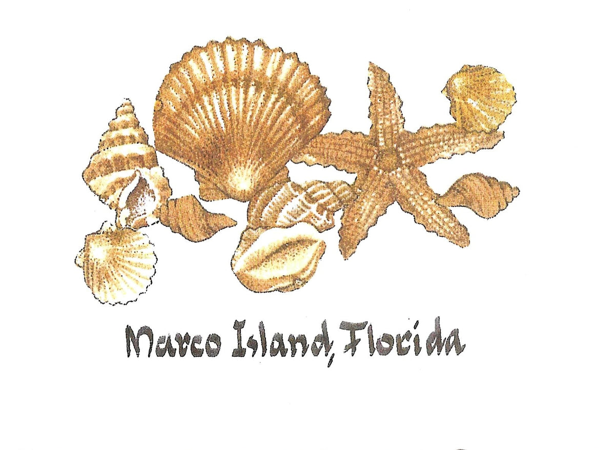 Betty’s Notes Marco Island Collection: Starfish & Scallop Shells card artwork